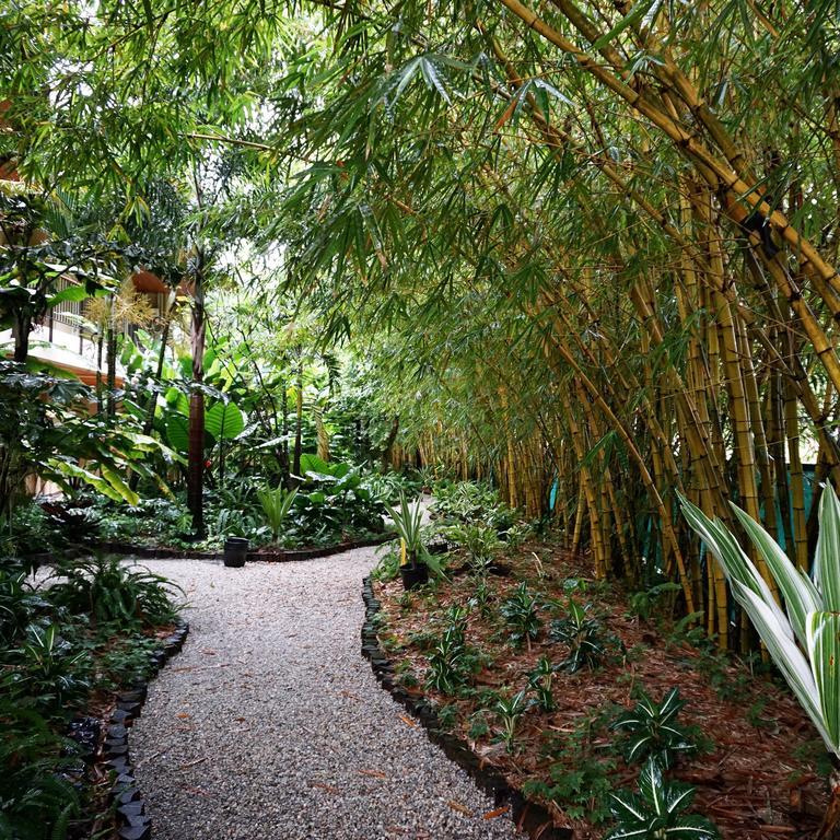 Jacana Amazon Wellness Resort Παραμαρίμπο Εξωτερικό φωτογραφία