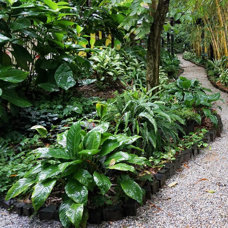 Jacana Amazon Wellness Resort Παραμαρίμπο Εξωτερικό φωτογραφία